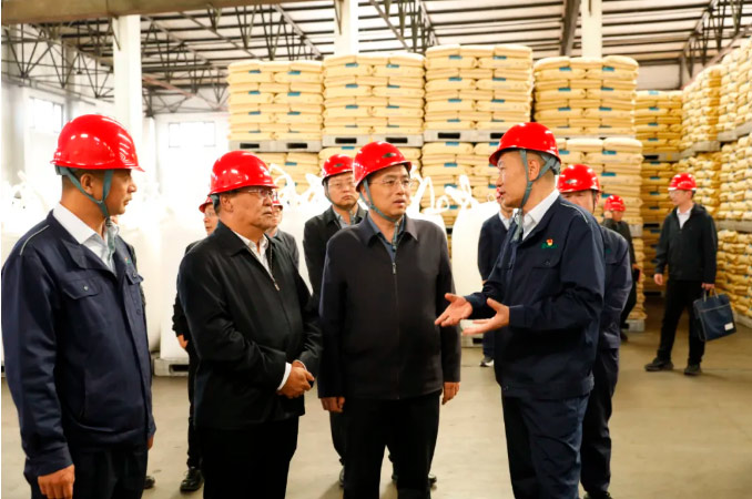 谭国栋莅临公司调研指导 为公司高质量发展把脉支招